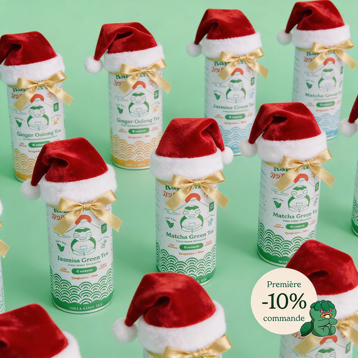 Pack Mixtes 12 canettes